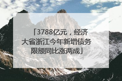 3788亿元，经济大省浙江今年新增债务限额同比涨两成