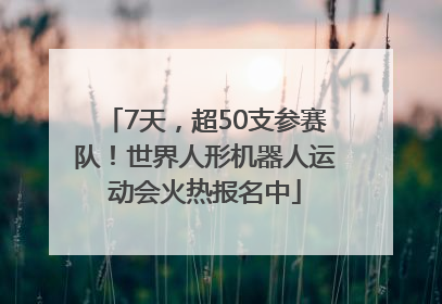 7天，超50支参赛队！世界人形机器人运动会火热报名中