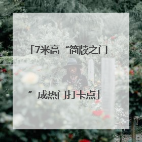 7米高“简牍之门”成热门打卡点