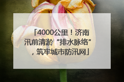 4000公里！济南汛前清淤“排水脉络”，筑牢城市防汛网