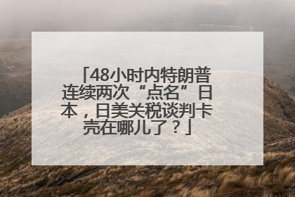 48小时内特朗普连续两次“点名”日本，日美关税谈判卡壳在哪儿了？