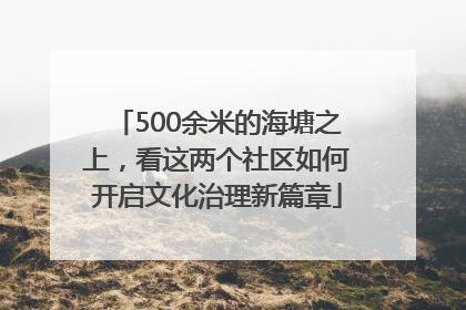 500余米的海塘之上，看这两个社区如何开启文化治理新篇章