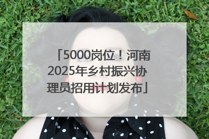 5000岗位！河南2025年乡村振兴协理员招用计划发布