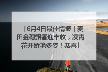 6月4日最佳情报｜麦田金穗飘香迎丰收，凌霄花开娇艳多姿！恭喜