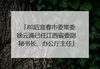80后宜春市委常委徐云涌已任江西省委副秘书长、办公厅主任