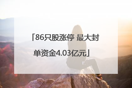 86只股涨停 最大封单资金4.03亿元