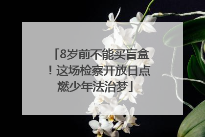 8岁前不能买盲盒！这场检察开放日点燃少年法治梦