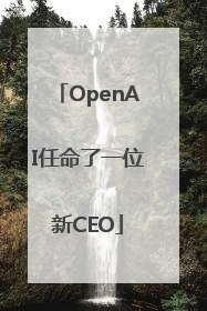 OpenAI任命了一位新CEO