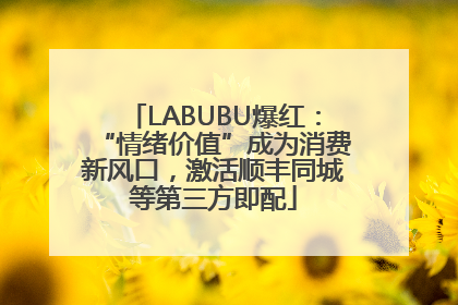 LABUBU爆红：“情绪价值”成为消费新风口，激活顺丰同城等第三方即配