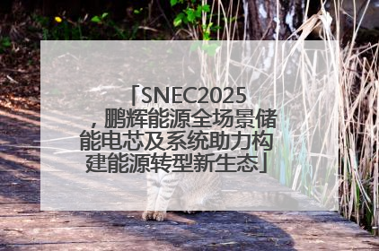 SNEC2025，鹏辉能源全场景储能电芯及系统助力构建能源转型新生态